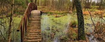 Экскурсия в Междуречье к Андрею Сагайдаку
